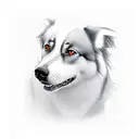 red dog border collie husky mix tattoo design idea