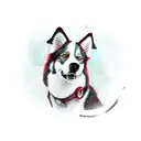 red dog border collie husky mix tattoo design idea