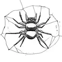 Spider opium style tattoo design idea