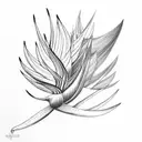 Bird of Paradise tattoo design idea