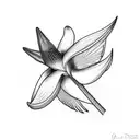 Bird of Paradise tattoo design idea