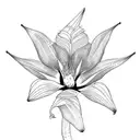 Bird of Paradise tattoo design idea