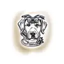 chocolate labrador dog tattoo design idea
