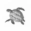 3 turtle  tattoo design idea
