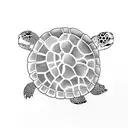 3 turtle  tattoo design idea
