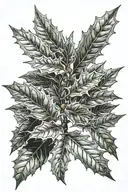 holly tree ash tree  tattoo design idea