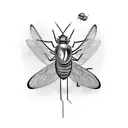 mosquito tattoo design idea