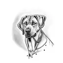 Rhodesian Ridgeback tattoo design idea