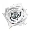 Rose tattoo design idea
