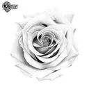 Rose tattoo design idea