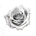 Rose tattoo design idea