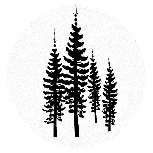 Pine Tree Tattoo  Etsy