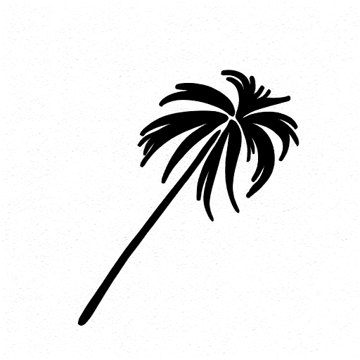 Sabal Palm png images  PNGWing