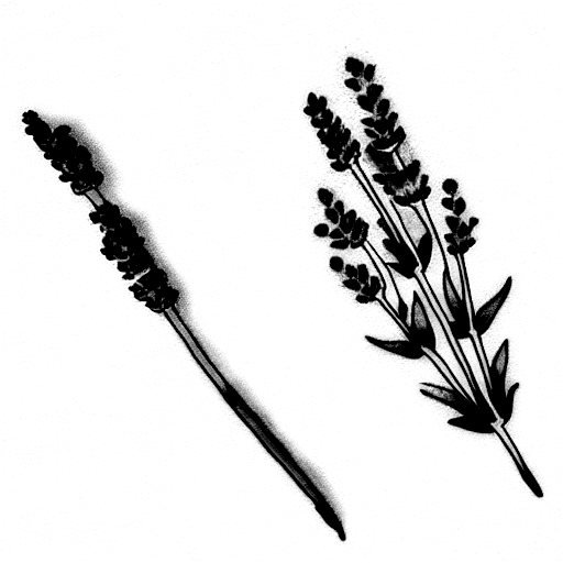 Lavender Black White Images  Free Download on Freepik