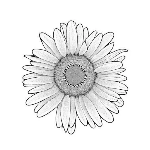 Buy Wildflower Daisy Outline Temporary Tattoo / Small Daisies Floral Wrist  Tattoo / Feminine Self Love and Growth Forearm Temporary Tattoo Online in  India - Etsy
