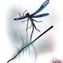 Dragonfly tattoo design idea