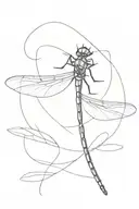 dragonfly tattoo design idea
