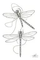 dragonfly tattoo design idea