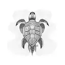 Turtle tattoo design idea
