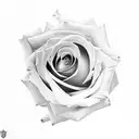 Rose tattoo design idea