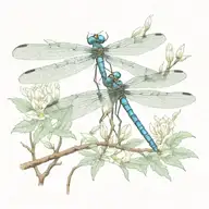 dragonfly tattoo design idea