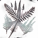 Fern Tree tattoo design idea
