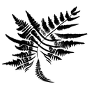 Fern Tree tattoo design idea