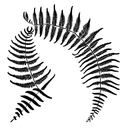 Fern Tree tattoo design idea