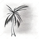 Palm Tree tattoo design idea