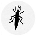cricket insect tattoo design idea