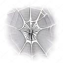 Spider Web tattoo design idea