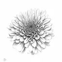 Chrysanthemum tattoo design idea