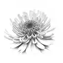 Chrysanthemum tattoo design idea