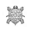 Turtle tattoo design idea