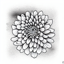 Chrysanthemum tattoo design idea