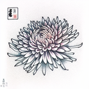 Chrysanthemum tattoo design idea