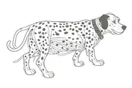 101 dalmatians tattoo design idea