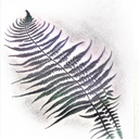 Fern Tree tattoo design idea