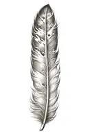 feather tattoo design idea