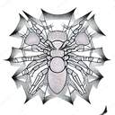 Spider tattoo design idea