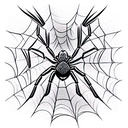 Spider tattoo design idea