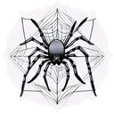 Spider tattoo design idea