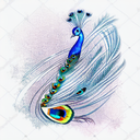 Peacock tattoo design idea