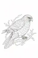 hawk tattoo design idea