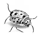 Ladybug tattoo design idea