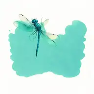 dragonfly tattoo design idea