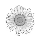 Daisy tattoo design idea