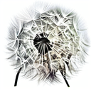 Dandelion tattoo design idea