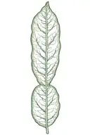 leaf tattoo design idea