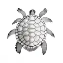 Turtle tattoo design idea